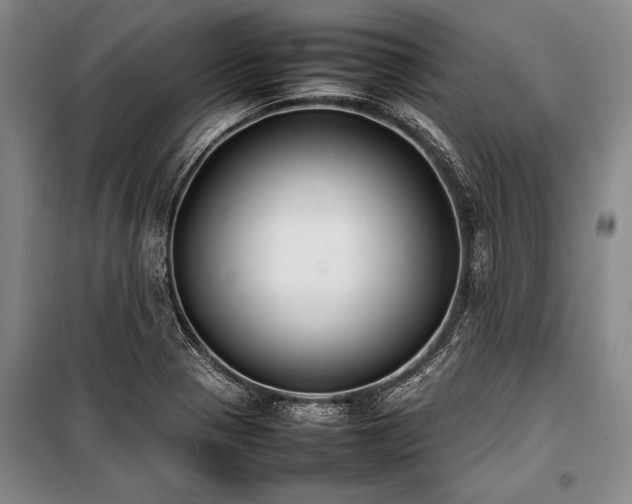 X0000101221321200806271438