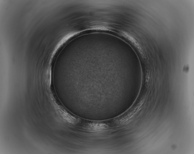 X0000101221323200806271438
