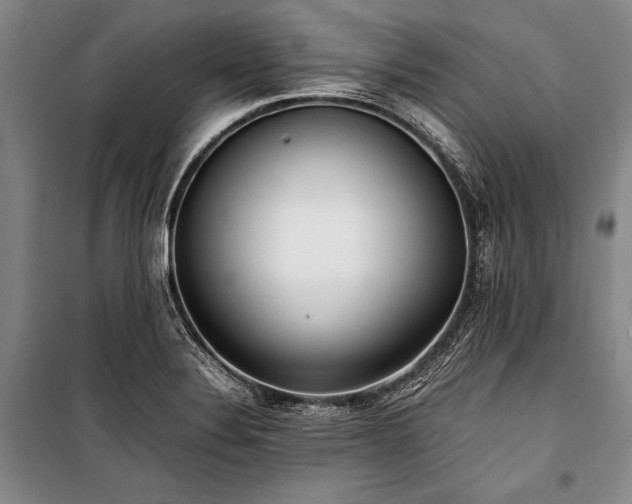 X0000101221324200806271438