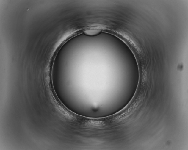 X0000101221325200806271438