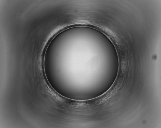 X0000101221326200806271438