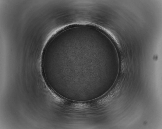 X0000101221327200806271438