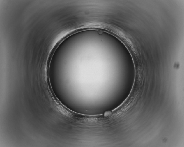 X0000101221328200806271438