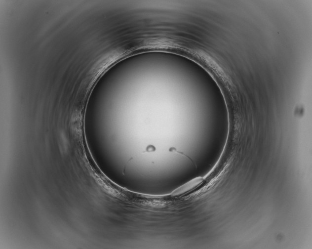 X0000101221329200806271438
