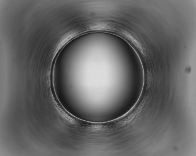 X0000101221330200806271438
