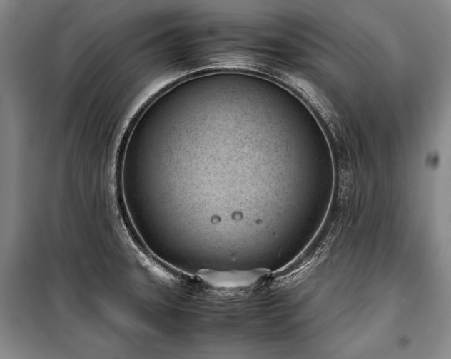 X0000101221331200806271438