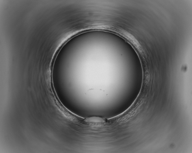 X0000101221332200806271438