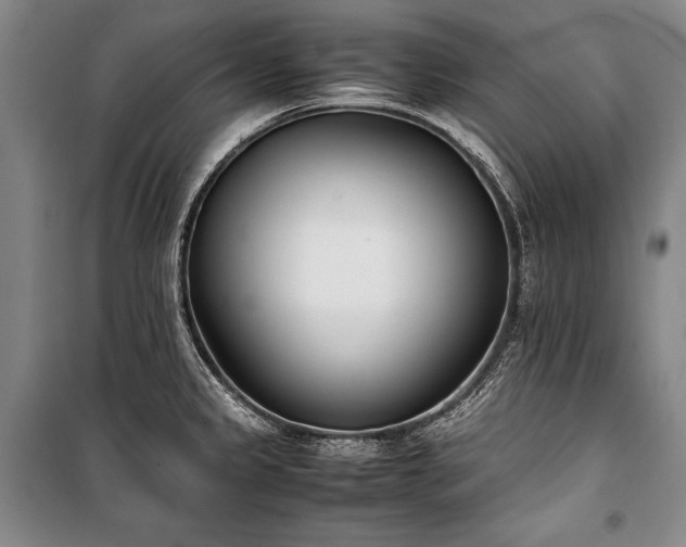 X0000101221333200806271438