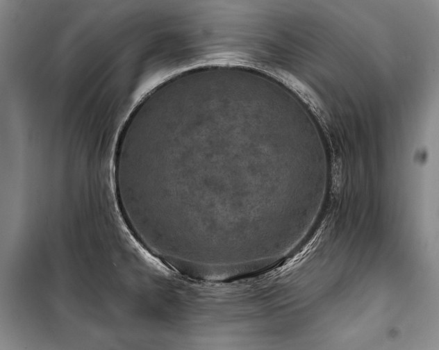 X0000101221334200806271438