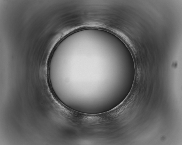 X0000101221335200806271438