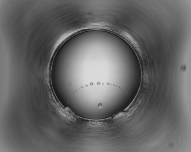 X0000101221336200806271438