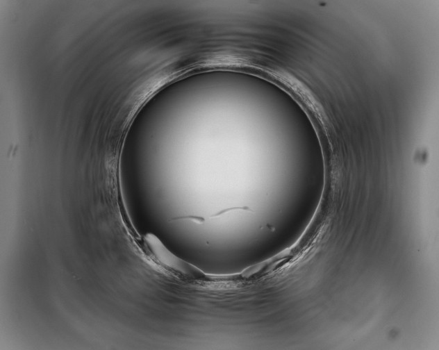 X0000101221337200806271438