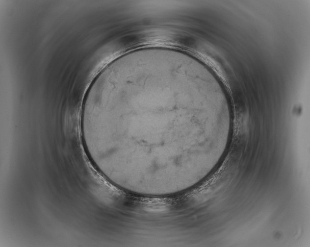 X0000101221338200806271438