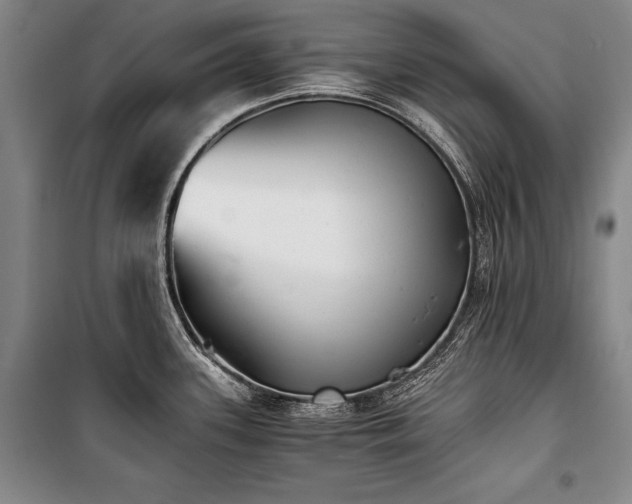 X0000101221339200806271438
