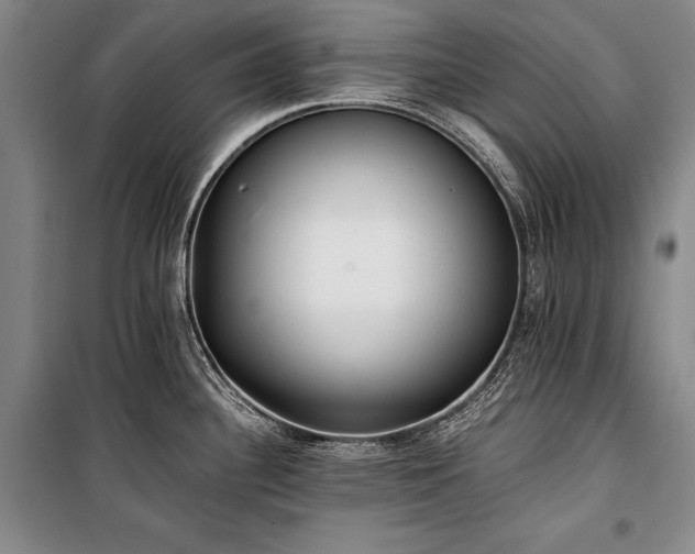 X0000101221340200806271438