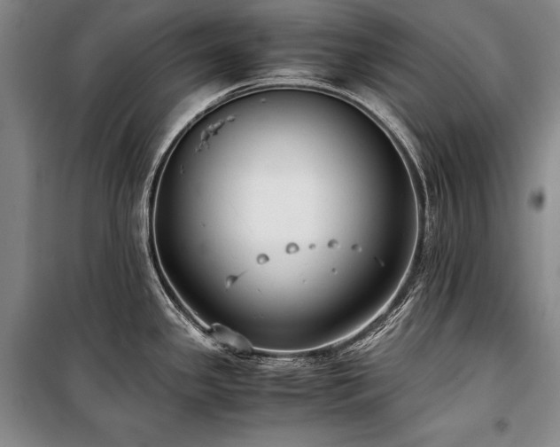 X0000101221341200806271438