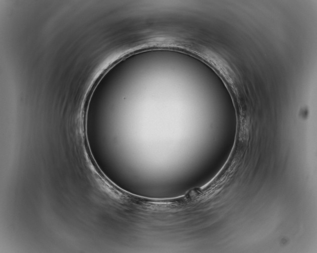 X0000101221342200806271438