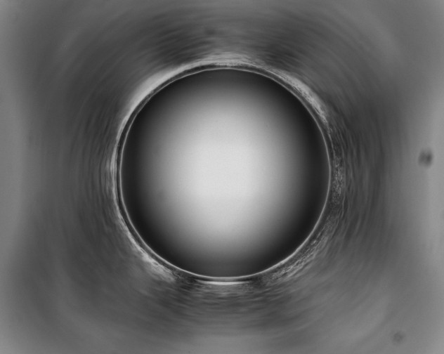 X0000101221343200806271438