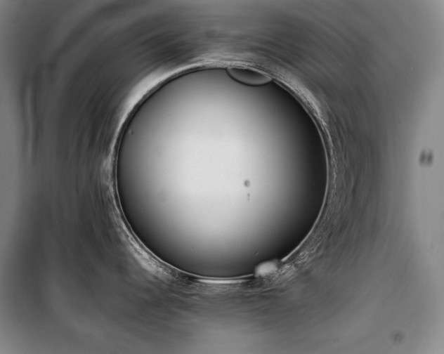 X0000101221344200806271438