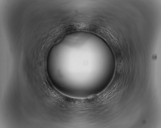 X0000101221345200806271438