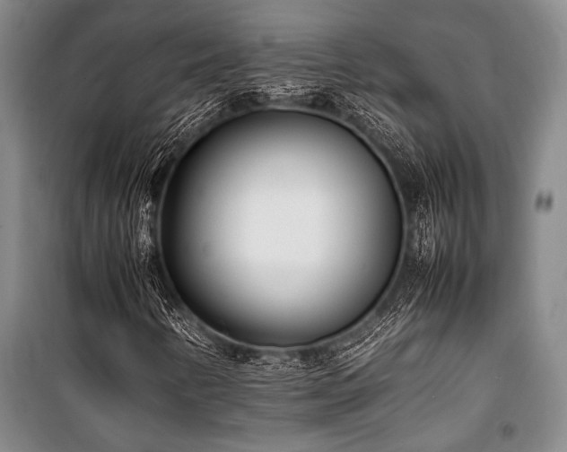 X0000101221346200806271438
