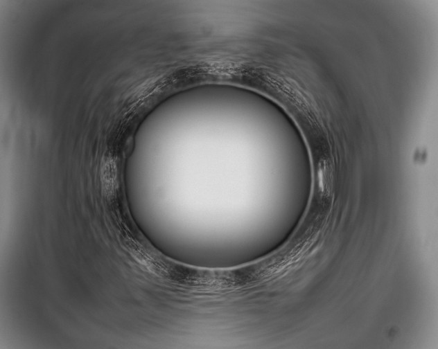 X0000101221347200806271437