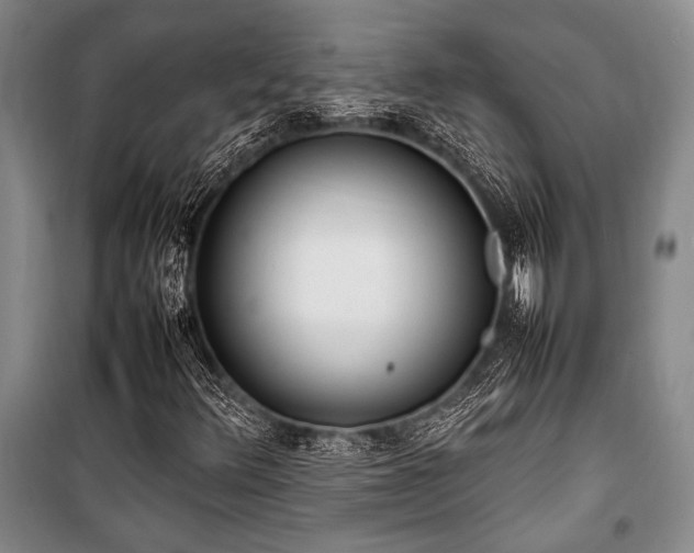 X0000101221348200806271437