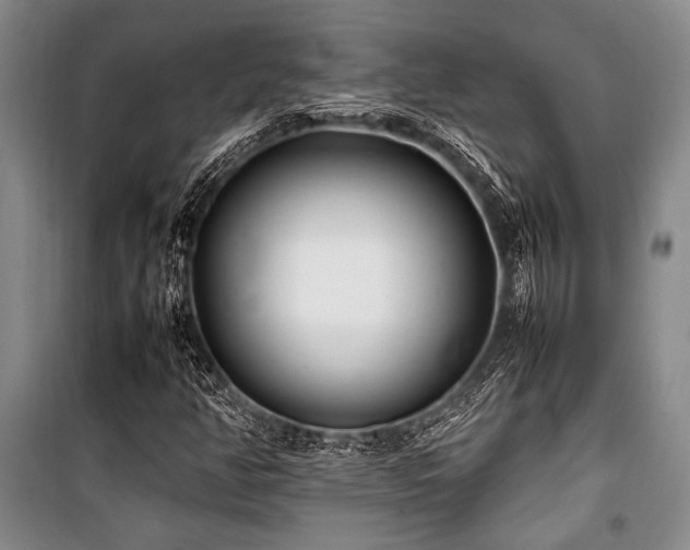 X0000101221350200806271437