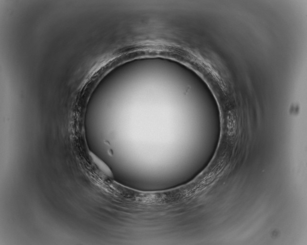 X0000101221352200806271437