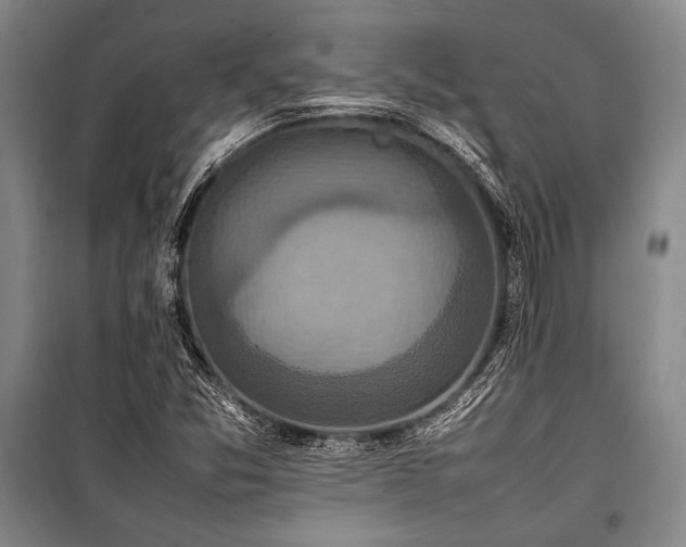 X0000101221357200806271437