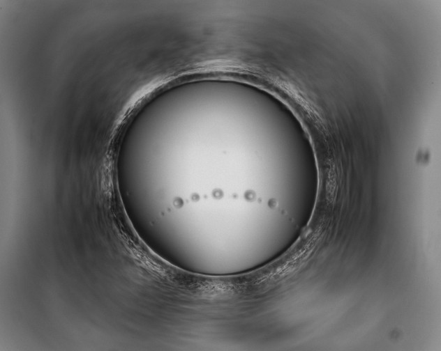 X0000101221358200806271437