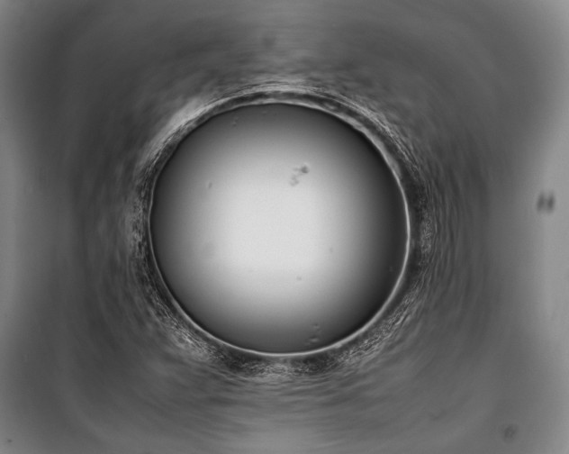 X0000101221359200806271437