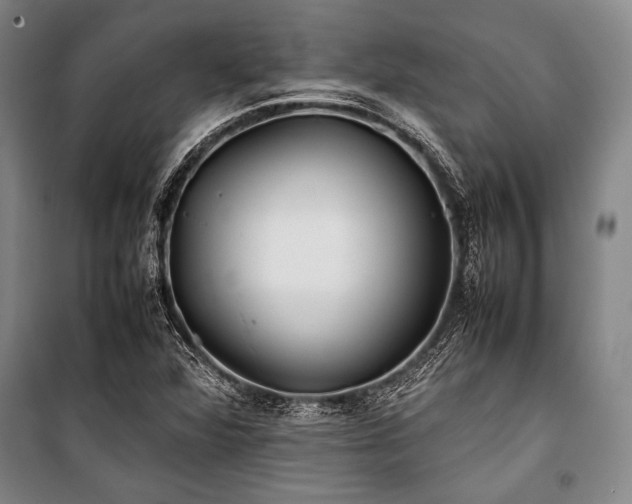 X0000101221360200806271437