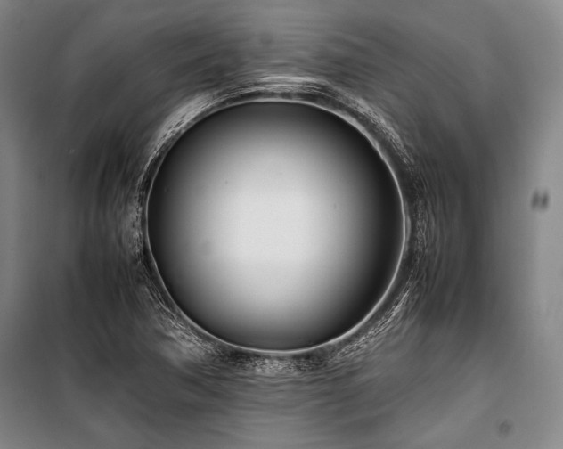 X0000101221362200806271437