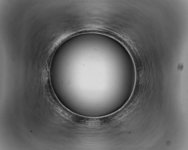 X0000101221363200806271437