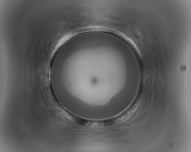 X0000101221365200806271437