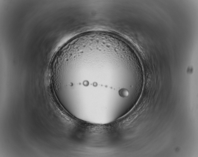 X0000101221367200806271437