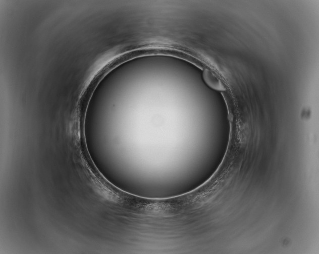 X0000101221368200806271437