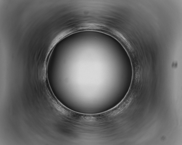 X0000101221370200806271437