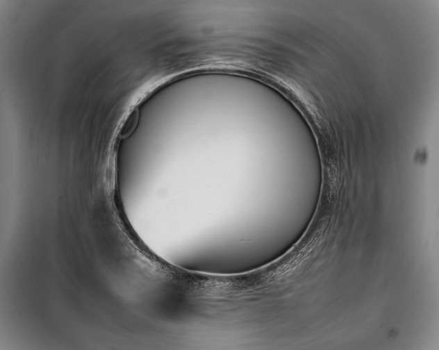 X0000101221371200806271437