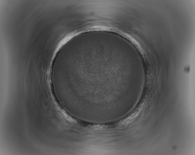 X0000101221373200806271437