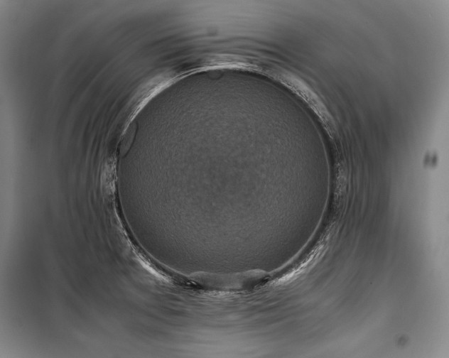 X0000101221377200806271437
