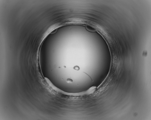 X0000101221378200806271437