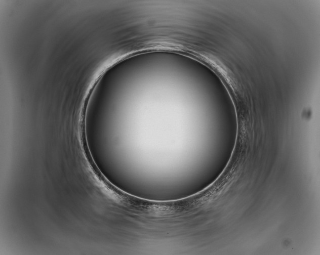 X0000101221379200806271437