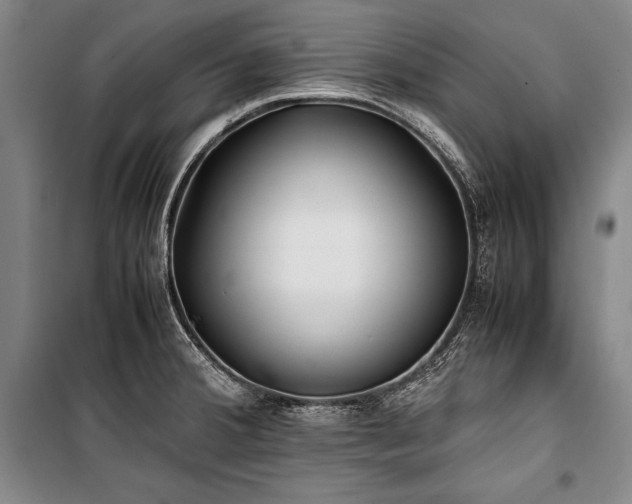 X0000101221380200806271437
