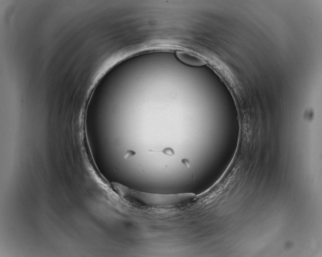 X0000101221382200806271437