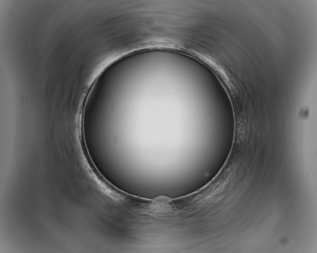 X0000101221383200806271437