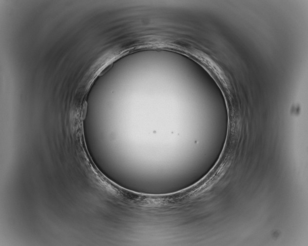X0000101221385200806271437
