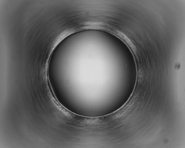 X0000101221386200806271437
