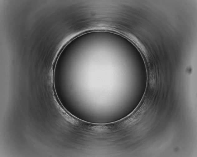 X0000101221388200806271437